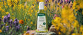 Enchanting the world with herbal power made in Switzerland